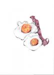 Bacon & Eggs, Food Illustration Series, 2017, (coloured pencil)