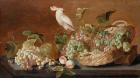 Still life with parrot, c.1640 (oil on panel)