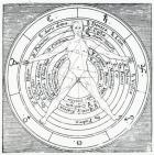 Vitruvian figure, from 'Utriusque Cosmi Historia' by Robert Fludd, published in 1617 (engraving)