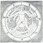 Vitruvian figure, from 'Utriusque Cosmi Historia' by Robert Fludd, published in 1617 (engraving)