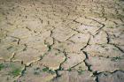 Dried and cracked ground when water supply at low level, Zahara - el Gastor reservoir, Cadiz Province, Andalusia, Southern Spain (photo)