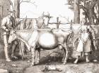 La Laitiere or The Milkmaid by Lucas van Leyden. 16th century farming. From Histoire des Peintres de Toutes les Écoles, École Hollandaise, published 1863. (litho)