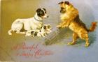 Puppies in the Straw, Victorian postcard