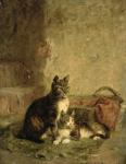 Cats, 1883 (oil on canvas)