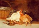 Still Life with Dead Chickens and Wicker Basket (oil on canvas)