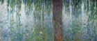 Waterlilies: Morning with Weeping Willows, detail of the left section, 1915-26 (oil on canvas) (see also 162348-9)