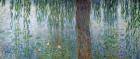 Waterlilies: Morning with Weeping Willows, detail of the left section, 1915-26 (oil on canvas) (see also 162348-9)