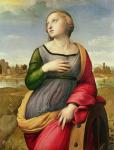 St. Catherine of Alexandria, 1507-8 (oil on panel)