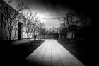 Barnes Foundation Nº1