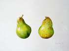 A Pair of Pears, 1997 (w/c on paper)