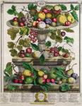 June, from 'Twelve Months of Fruits', by Robert Furber (c.1674-1756) engraved by Henry Fletcher, 1732 (colour engraving)