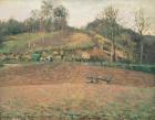 Ploughland, 1874