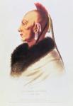 An Osage Chief (colour litho)