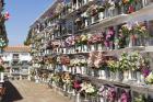 View of the cemetery (photo)