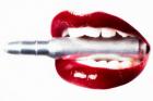 Bullet Lips, 2013, (Direct Print on Brushed Aluminium, BUTLERFINISH® Look)