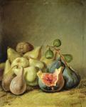 Fruit Still Life (oil on panel)