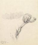 Study of a Hound, 1794 (pencil on paper)