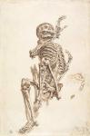 A Human Skeleton (pen & ink wash and pencil on paper) (recto)