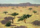 Sahelian Landscape, Mali, 1991 (oil on canvas)