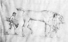 Horse and Grooms, 1754 (pencil on paper)