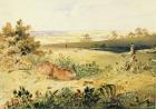 Hare in a Landscape, 1827 (w/c with bodycolour, gum arabic & graphite on paper)