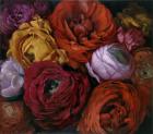 No 397, Renoncules, 2013, oil on canvas
