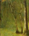The Forest at Pontaubert, 1881 (oil on canvas)