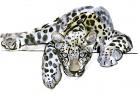 Arabian Leopard, 2008 (w/c on paper)