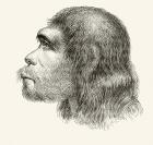 Head of a Neanderthal Man, from 'Nuestro Siglo', published Barcelona, 1883 (litho)