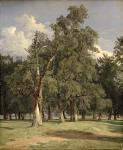 Elm trees in Prater, 1831 (oil on panel)