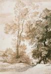 Trees and Deer, after Claude, 1825 (pen & ink with wash on paper)