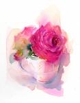 Rose in Teacup, 2017, (watercolor)