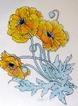 POPPIES watercolour