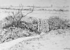 Cottage Gate and View Beyond,2015, (pen and ink)
