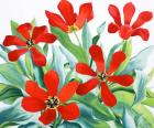 Madame Lefeber Tulips 2 (watercolour on paper)