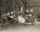 Gang of Newsboys at 10:00 p.m., 1910 (b/w photo)
