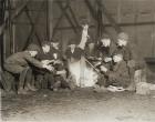 Gang of Newsboys at 10:00 p.m., 1910 (b/w photo)