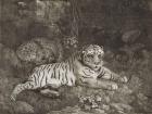 Two Tygers, engraved by the artist, pub. 1788 (etching)