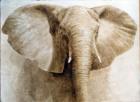 Elephant, 2004 (acrylic on paper)