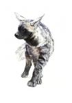 Striped Hyaena Pup, 2010, (conté and pastel on paper)