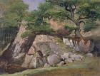 A View of the Valley of Rocks near Mittlach (oil on paper)