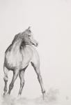 Moving Image, Series 1, 2012 (graphite on paper)