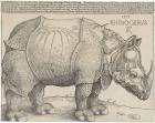 The Rhinoceros, 1515 (woodcut)