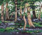 Bluebell wood, 2009, (oil on canvas)