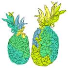 Pina pineapple, pen and ink, digitally coloured