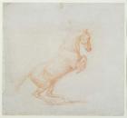 A Prancing Horse, facing right, 1790 (red chalk on paper)