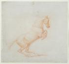 A Prancing Horse, facing right, 1790 (red chalk on paper)