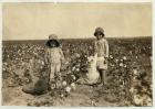 Jewel and Harold Walker, 6 and 5 years old, pick 20 to 25 pounds of cotton a day at Geronimo,Comanche County Oklahoma, 1916 (b/w photo)