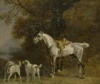 Huntsman with a Grey Hunter and Two Foxhounds: details from the Goodwood 'Hunting' picture, 1760-61 (oil on four pieces of paper conjoined on canvas)