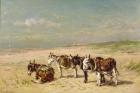 Donkeys on the Beach (oil on canvas)